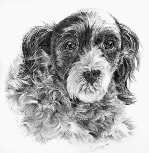 Lola