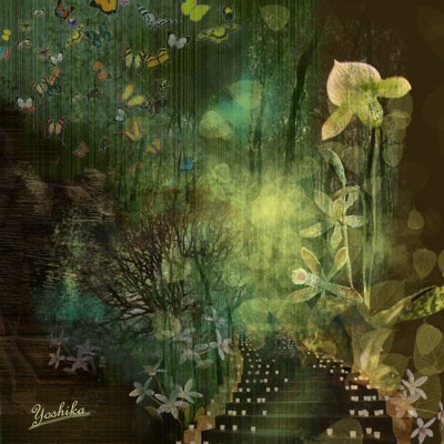 Rebirth