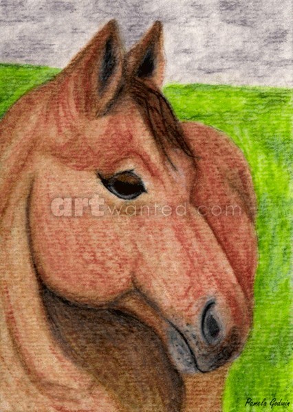 In The Pasture