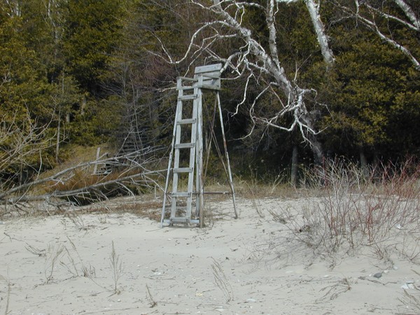 Lifes a Beach