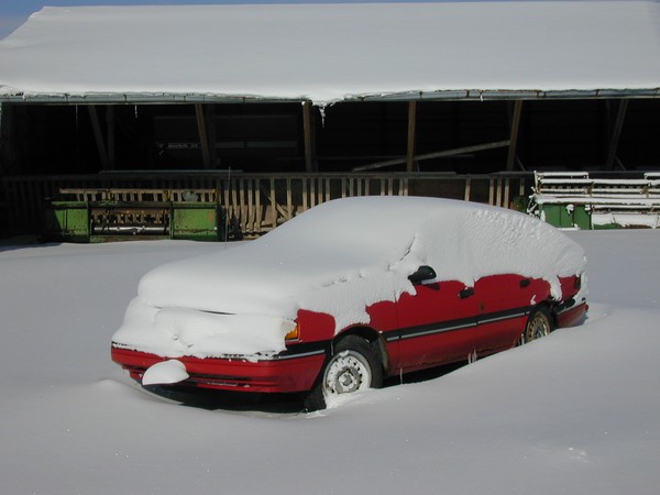 Snow Job
