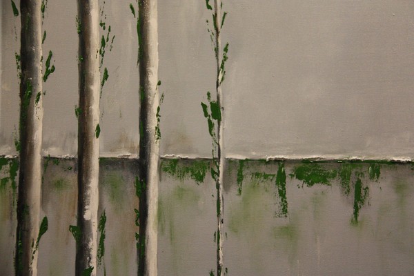 Poplars 5