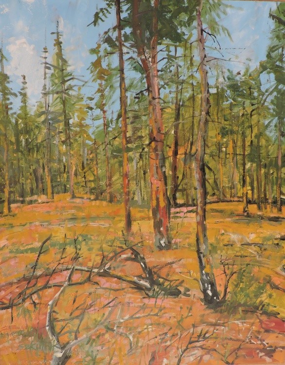 One Day in the Forest