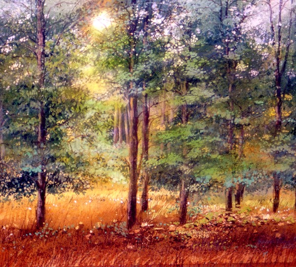 Taman Negara, Malaysia