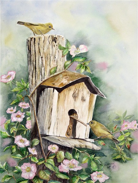 birdhouse buddies