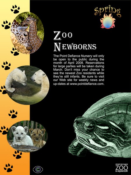 Zoo Poster
