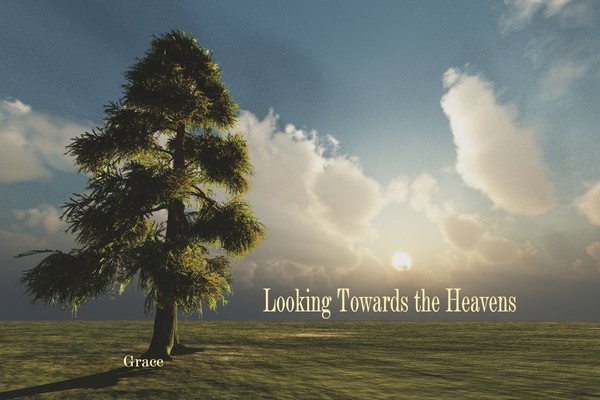 Looking Towards the Heavens