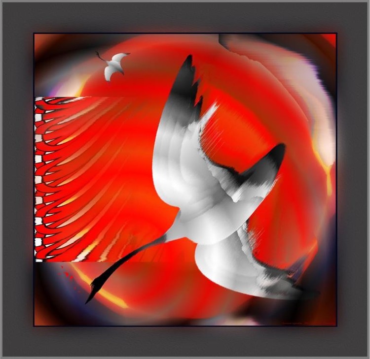Autumn Migration