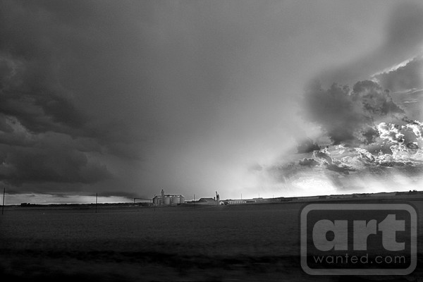 Black and White Storm ne1206