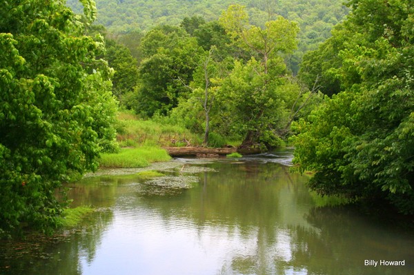 Peaceful creek winding through the fields