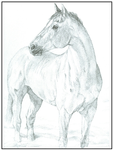 Hanoverian in Snow