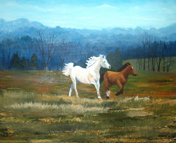 Fame and Dakota