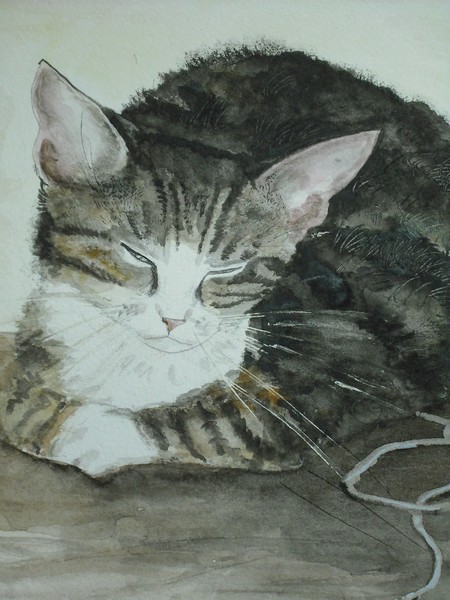 sleepy kitten