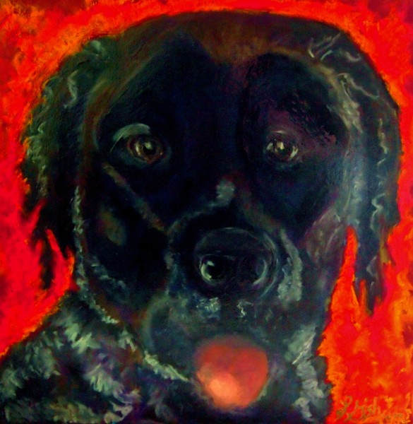Bull Mastiff