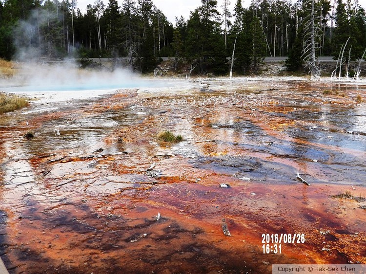Yellowstone NP - Fountain Paint Pots  Bacteria Mat