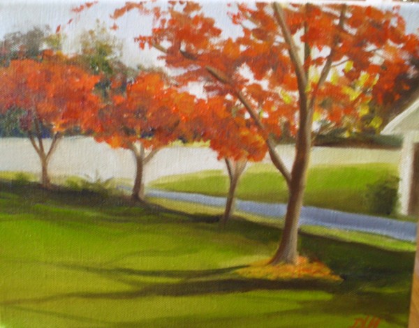 Dogwoods in November
