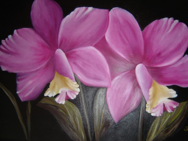 FLORES II