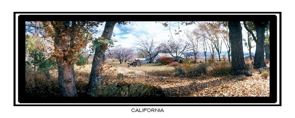 1234 62 Old Farm