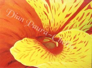 Lily 2