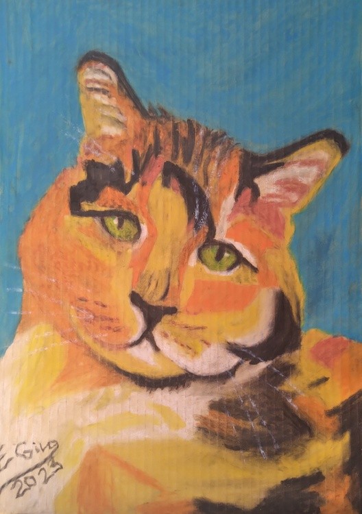 Beautiful Green-Eyed Calico Cat