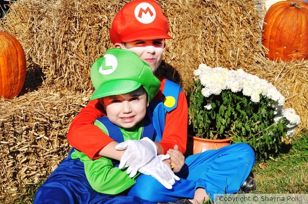 Mario and Luigi
