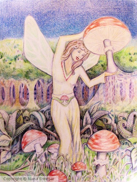 Amanita Muscaria Fairy