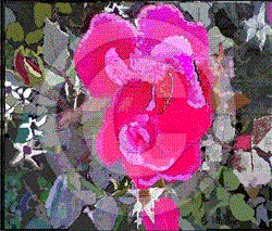Floradig1