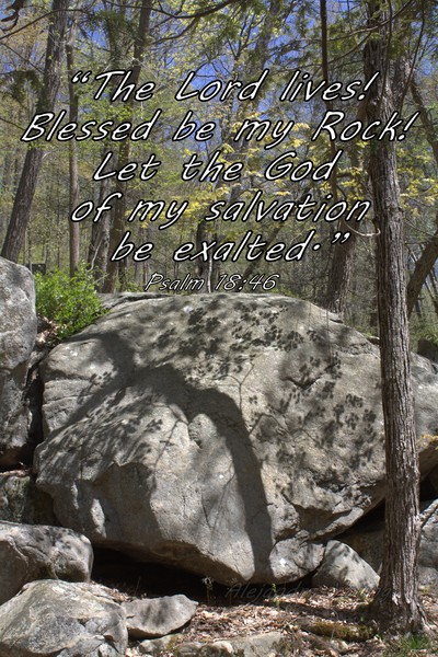 Psalm18:46