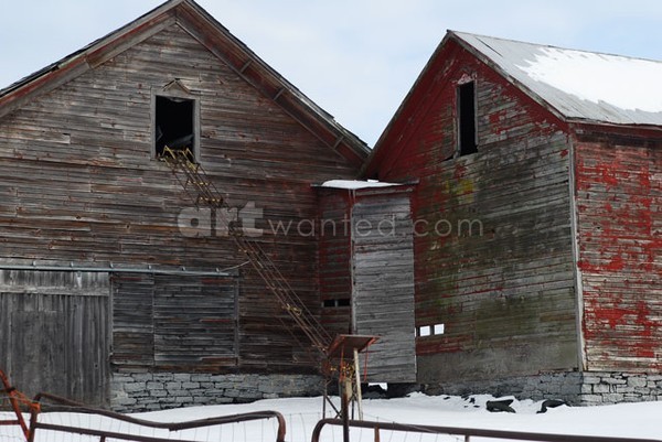 Saratoga County Barns & Hay Conveyer I