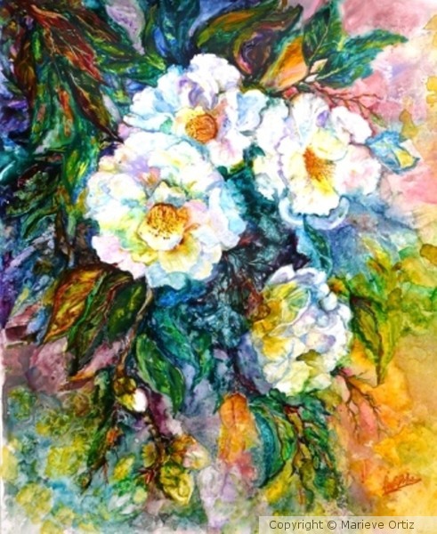 Camellias