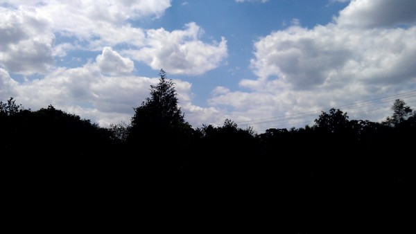 Natural Contrast: Earth vs Sky