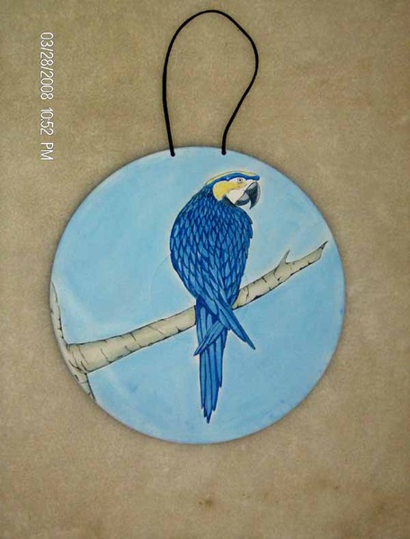 Macaw
