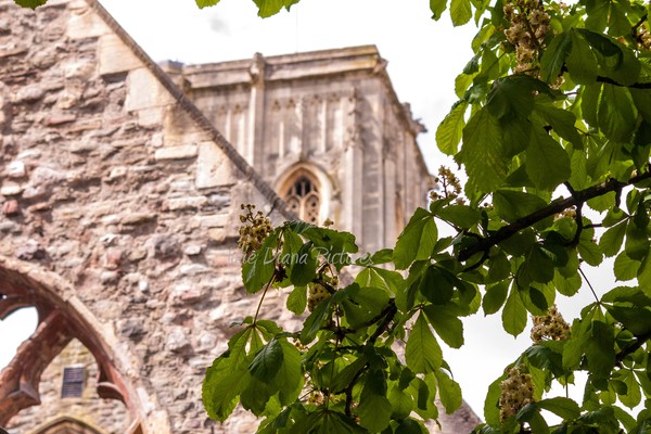 Temple Church