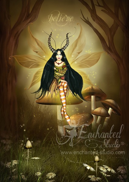 Fairy of the woods