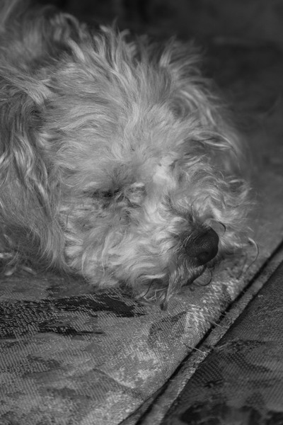 napping on the job