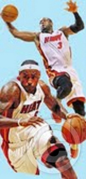 MIAMI HEAT 2013 LEBRON JAMES, DWAYNE WADE by DON H