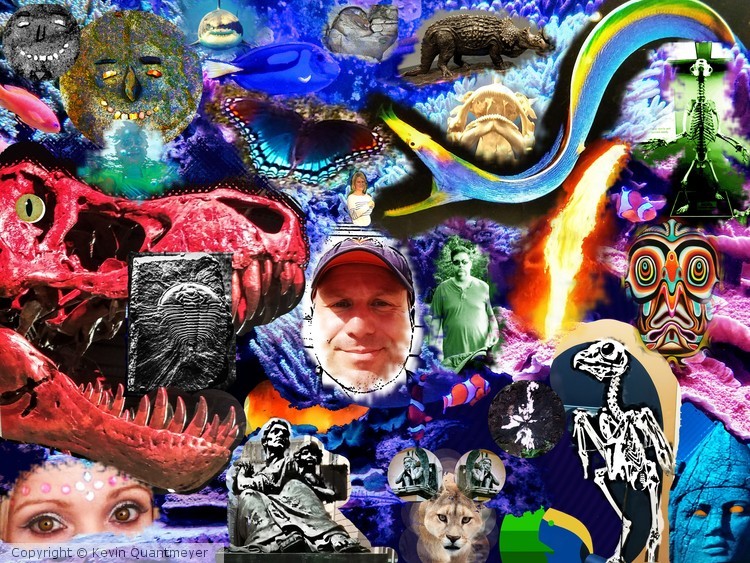 2018 DC