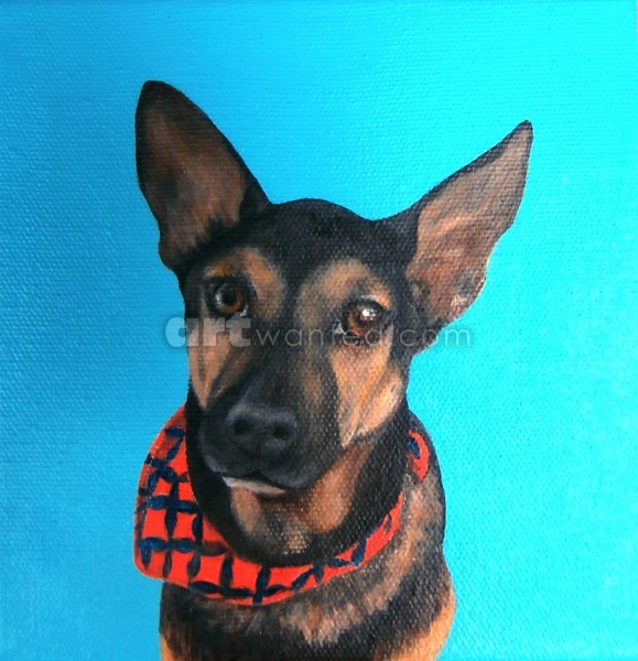 A Dog Named Sage