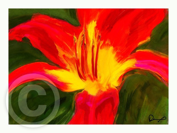 Tulip