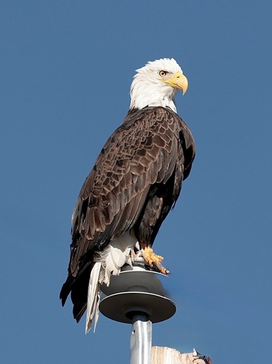 9G0A6696