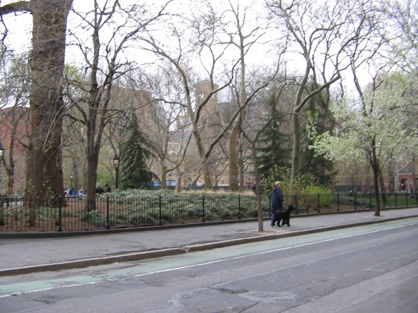 Washington Square Park NYC