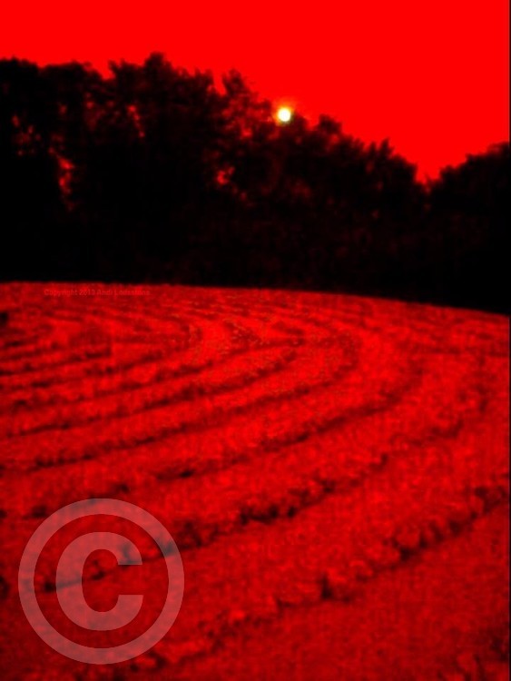 Bloodmoon