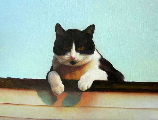 Kitty: my daughter's pet cat