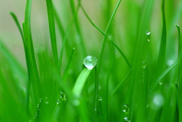 water droplet