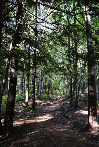 Sugarloaf Path