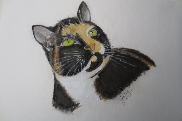 Kit Kat, my Calico