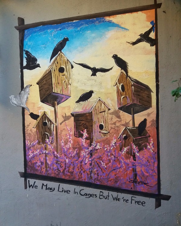 Free birds