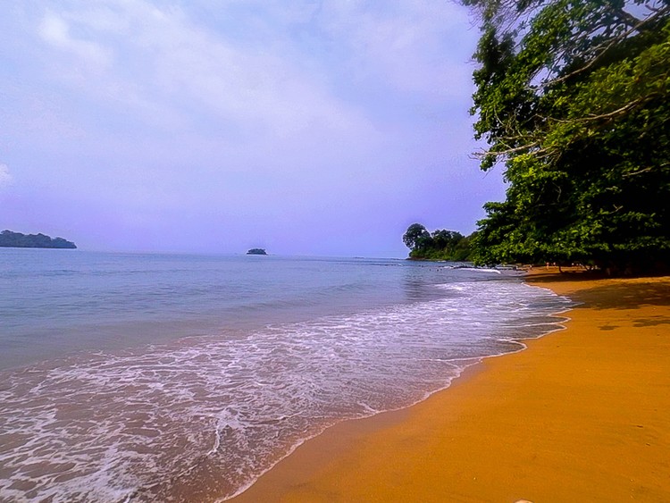 Long along the Beach 