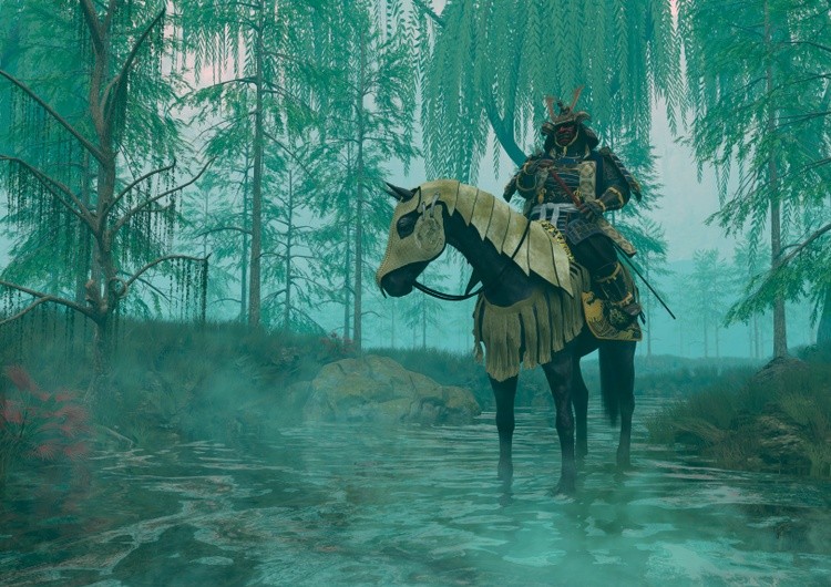 Samurai in the misty forest