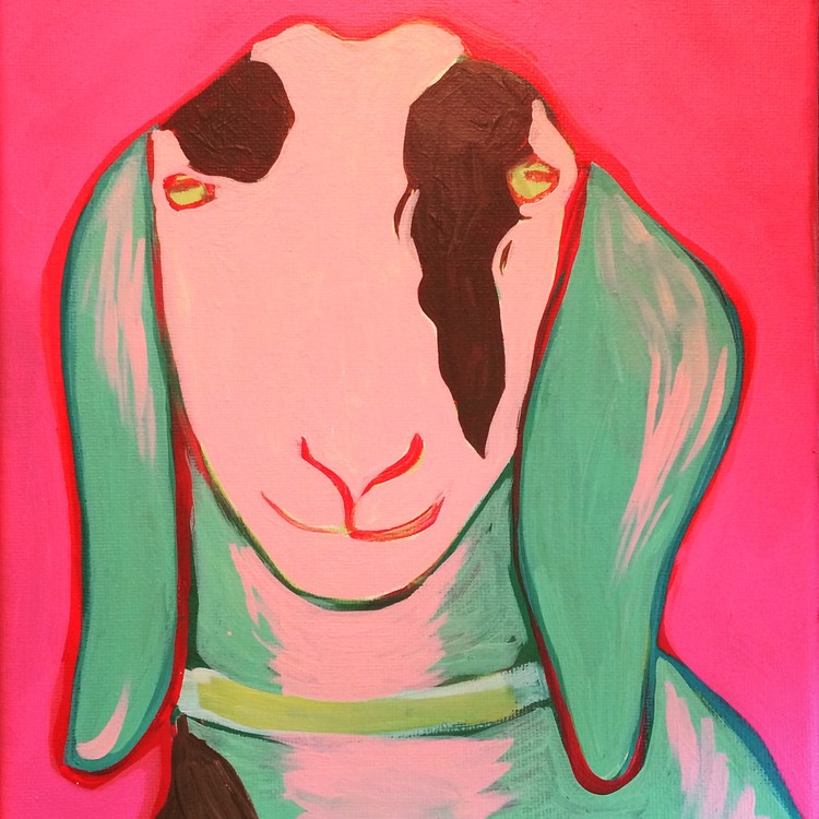 Lady